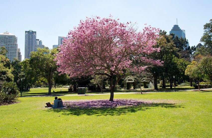 City Botanic Gardens, Australia